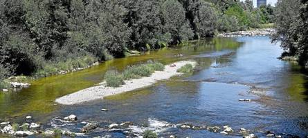 Feuerwehr rettet 25-Jährigen aus der Wertach