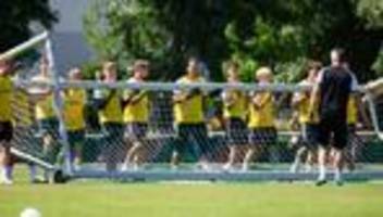 2. Bundesliga: Dynamo Dresden: Neuzugang und Trainingslager