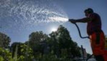 Wetter: Hitzewelle bringt Temperaturen von fast 40 Grad