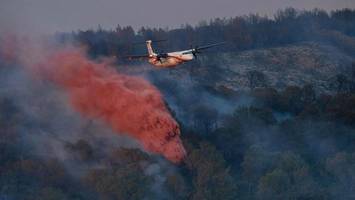 Sieben Waldbrände wüten in Südfrankreich – Präfekt äußert Verdacht