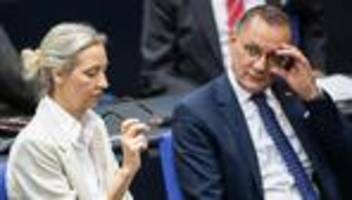 afd: führungsebene der afd bekommt künftig deutlich mehr gehalt