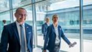 Bundestag: AfD-Chefs bekommen deutlich mehr Geld