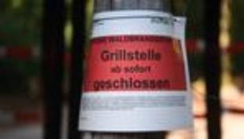 hitzewelle: gefahr von waldbränden sehr hoch