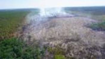 waldbrände: waldbrandschutzbeauftragter: brauchen dringend ehrenamtliche