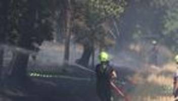 Wetter: Thüringen Forst rechnet mit höchster Waldbrandgefahr