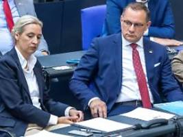 spd schafft grundlage für verbot: die afd gerät unter druck, nicht die demokratie