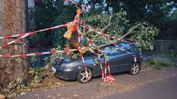 „Ganz schlimm“: So erholt sich Berlins Norden vom großen Sturm