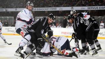 Die Eisbären spielen jetzt wieder oben ohne