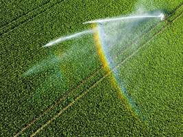 Landwirtschaft: Den Bauern macht die Trockenheit zu schaffen