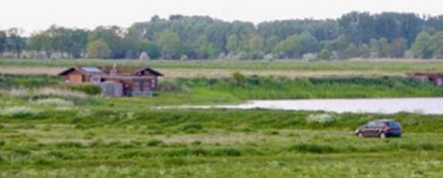 elbe: bauer hetzt vögel im schutzgebiet – nun droht ihm Ärger