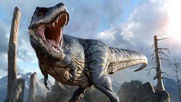 Mongolei: Entdeckung einer bisher unbekannten Theropoden-Art