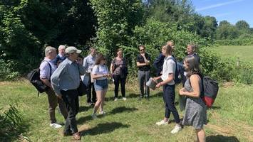 oberbillwerder: knick ist plötzlich wald, planer überrascht