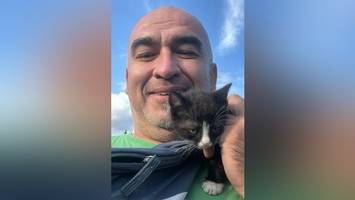 trucker mit herz: lkw-fahrer rettet katzenbaby  das leben