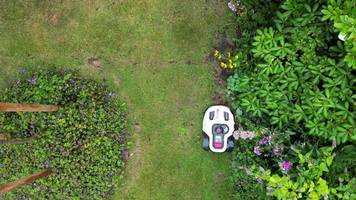 Garten: Mähroboter-Käufe steigen um 45 Prozent
