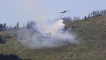 Waldbrände: Waldbrand bei Thale im Harz ausgebrochen