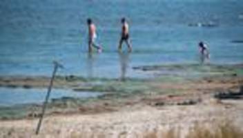 Warnung: Vorsicht beim Baden - stellenweise Blaualgen nachgewiesen