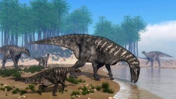 Historischer Fund: Ornithopode aus der Jurazeit ausgegraben?
