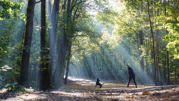 schwitzen war gestern: wo berlin selbst bei 35 grad erfrischt