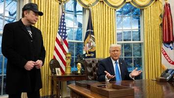 Elon Musk vs. Donald Trump: Tesla-Chef erklärt Präsident den Krieg