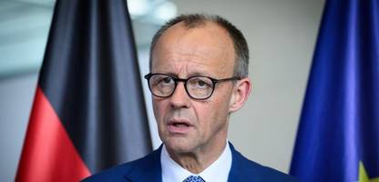 Friedrich Merz und die Wirtschaft: Die Subventionswende des Kanzlers - Kolumne