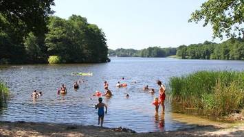 abkühlung bei 37 grad: mit deutschlandticket zu badeseen um hamburg