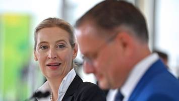 afd-chefs verdoppeln ihr gehalt – interne kritiker: „unverschämt“