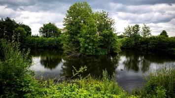 Keine Strafanzeige wegen falschen Alligator-Video in Vechta