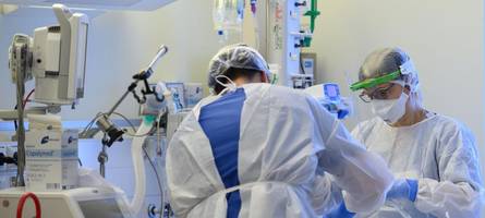 Borna-Virus in Bayern: Zweiter Patient gestorben