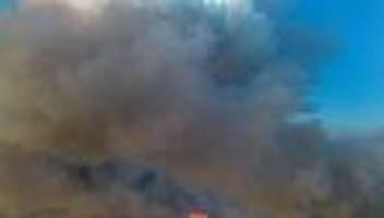 Feuer: Mehrere Waldbrände halten Feuerwehren im Osten in Atem