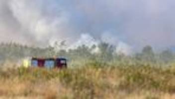Feuer: Waldbrand in Gohrischheide - Löscharbeiten gehen weiter