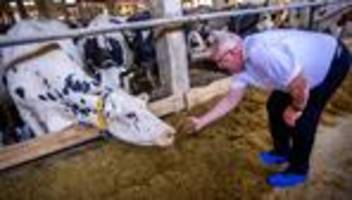 Klimaschutz: Molkereigenossenschaft honoriert Klimaschutz durch Bauern
