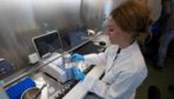 Modellprojekt: Hochreines Kokain auf der Fusion bringt Menschen in Klinik
