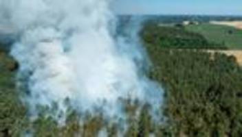 Trockenheit: Über 200 Waldbrände in Brandenburg - Feuer an Landesgrenze