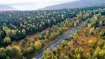 Waldbrände: Rauch über dem Reinhardswald - Brand unter Kontrolle