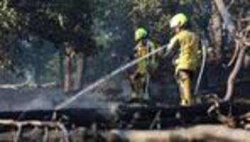 Waldbrände: Waldbrand bei Thale im Harz noch immer nicht gelöscht
