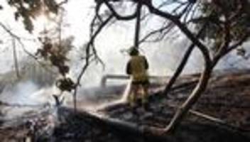 Waldbrände: Waldbrand in Thale im Harz gelöscht