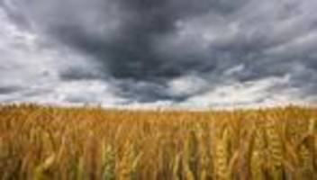 Wetterbericht: Nach extremer Hitze drohen Gewitter