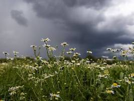Erst Hitze, dann Gewitter: Diese Wetterlage ist äußerst gefährlich
