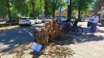 Nach dem Sturm: SPD meldet sich mit Vorschlag für den Bezirk