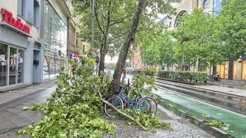 Nach den Stürmen: So schlimm war es in Steglitz-Zehlendorf