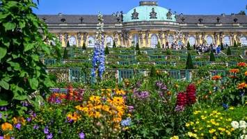 Park Sanssouci in Potsdam bleibt kostenlos – Dank diesem Retter