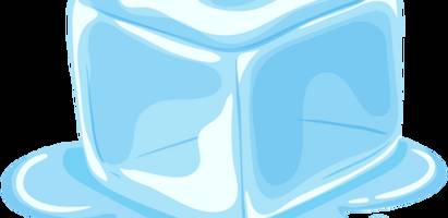 iceblock: iphone-app zum melden von abschiebeagenten erzürnt us-regierung