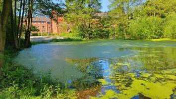 Teich in der Geesthachter Oberstadt bekommt einen Namen