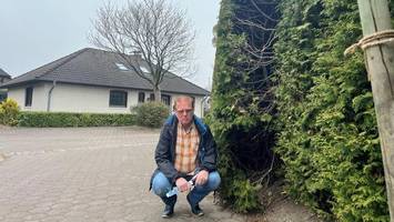 thujahecke „zu gefährlich“? rentner sendet letzten hilferuf