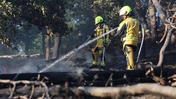 waldbrand bei thale im harz noch immer nicht gelöscht