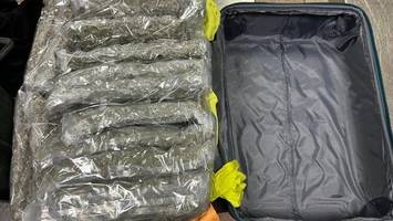 Zoll stellt bei drei Männern fast 90 Kilogramm Marihuana sicher