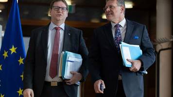 Drohender Handelskrieg: EU und USA verhandeln über möglichen Zolldeal