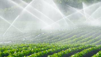 Aktien: Hitze und Trockenheit: Spezialisten für effiziente Wassernutzung werden für Anleger interessant