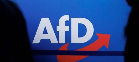 Rechte Medien erobern mit Hilfe der AfD den Bundestag