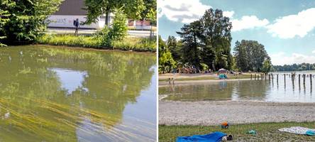 Hitze und kein Regen: So steht es um die Wasserqualität der Augsburger Flüsse und Seen